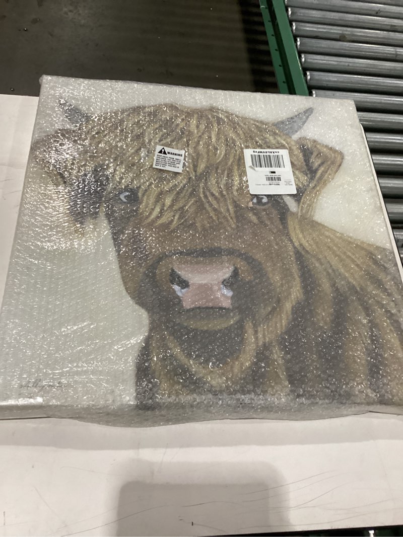 Condition photo showing New/Like New for Stupell Industries Brown Cattle Farm Animal Portrait Canvas Wall Art, Design by Ashley Justice 24"L x 1.5"W