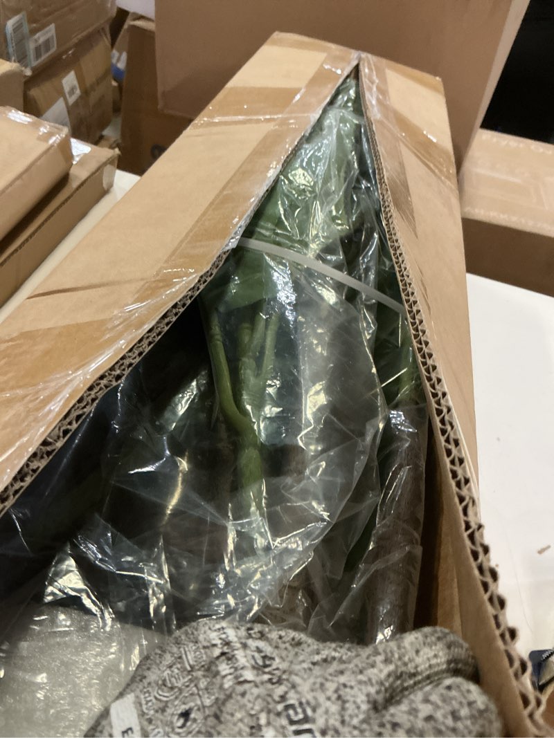 Condition photo showing Good Condition for lucealberi artificial fiddle leaf fig tree 6ft - large fake tree with white planter&basket, tall faux ficus lyrata tree floor plants for indoor home decor office living room housewarming gift, 1pack 6ft green