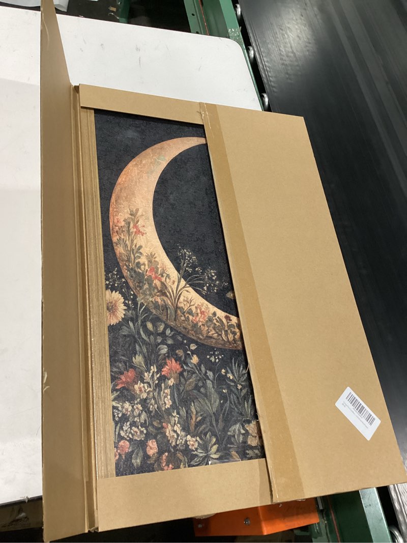 Condition photo showing Good Condition for moody moon floral wall art dark academia goth moon wall decor painting vintage flower celestial artwork 3d texture sandstone for bedroom living room 16x24 inch wood framed 24"l x 16"w moon