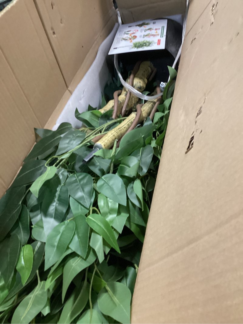 Condition photo showing Good Condition for erimda 5ft artificial ficus tree for home decor, faux silk plants faux plant fake silk trees with pot for indoor house living room office garden