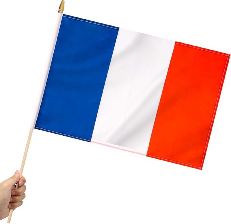 yingnner 12 pack france stick flags small 12x18 inch french hand held flags with 24 inch wooden pole
