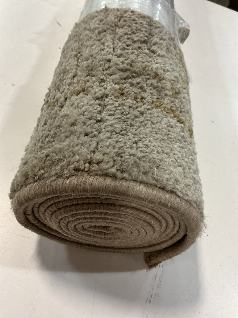 Condition photo showing Good Condition for threshold tufted runner vintage distressed, tan - machine wash 28in x 84in