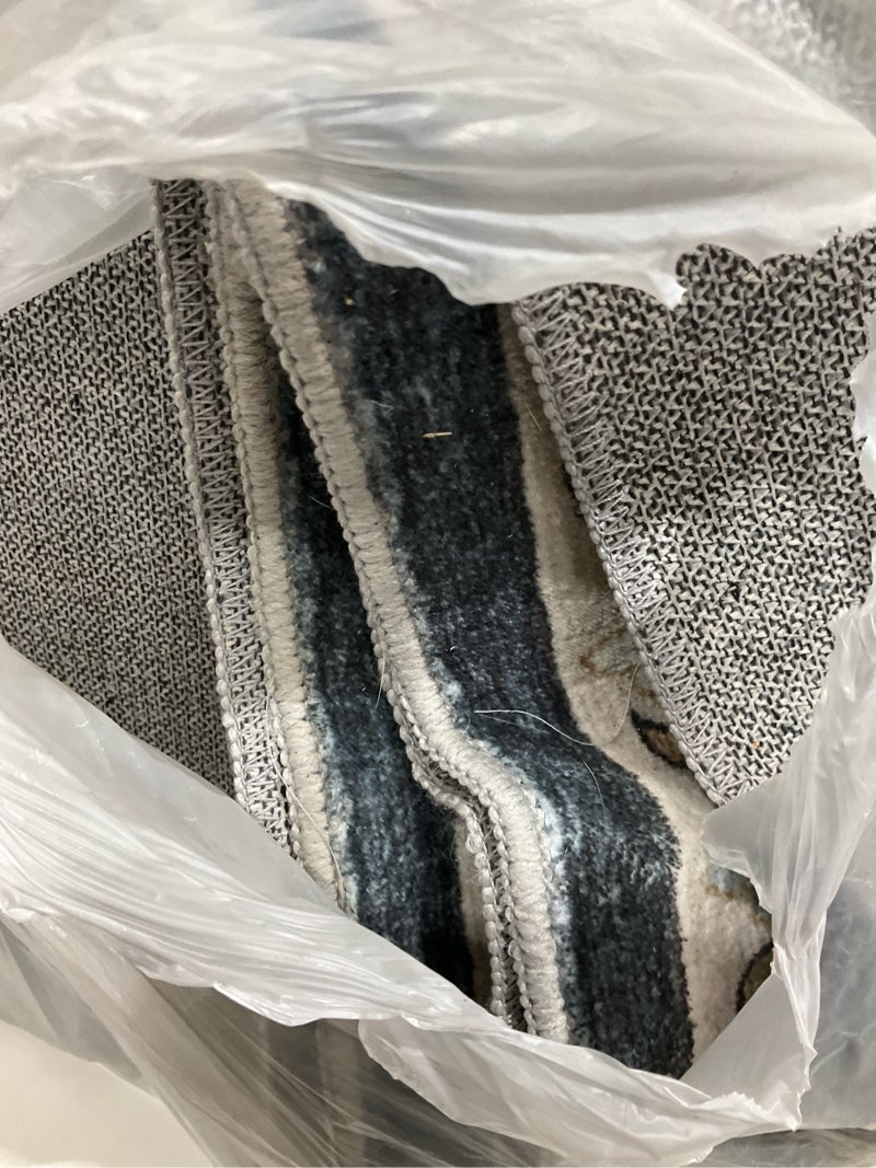 Condition photo showing As Is for rugs