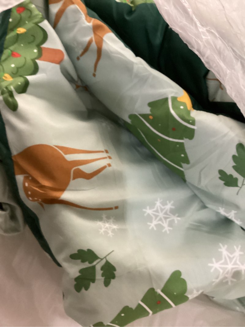 Condition photo showing As Is for Bedsure Christmas Comforter Set Queen - Christmas Bed Set with Festival Reindeer Pattern, Soft Bedding for Holiday, 3 Pieces, 1 Reversible Reindeer Pattern Printed Comforter and 2 Pillow Shams Queen 02 - Green Reindeer