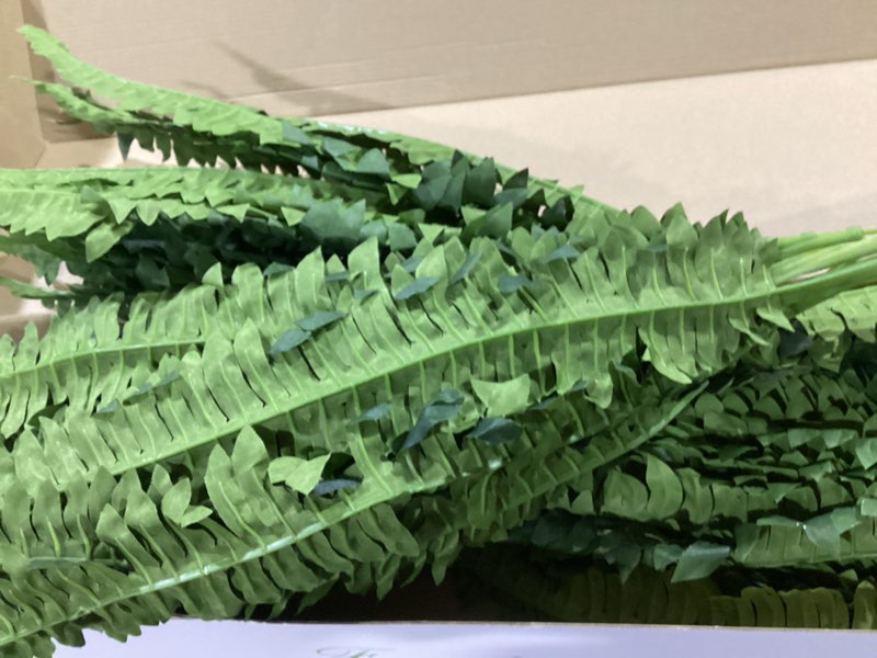 Condition photo showing Good Condition for 42" artificial boston fern large bush plants, 2 bundles of fake ferns with 65 fronds for outdoors home decor 42" 2 pcs