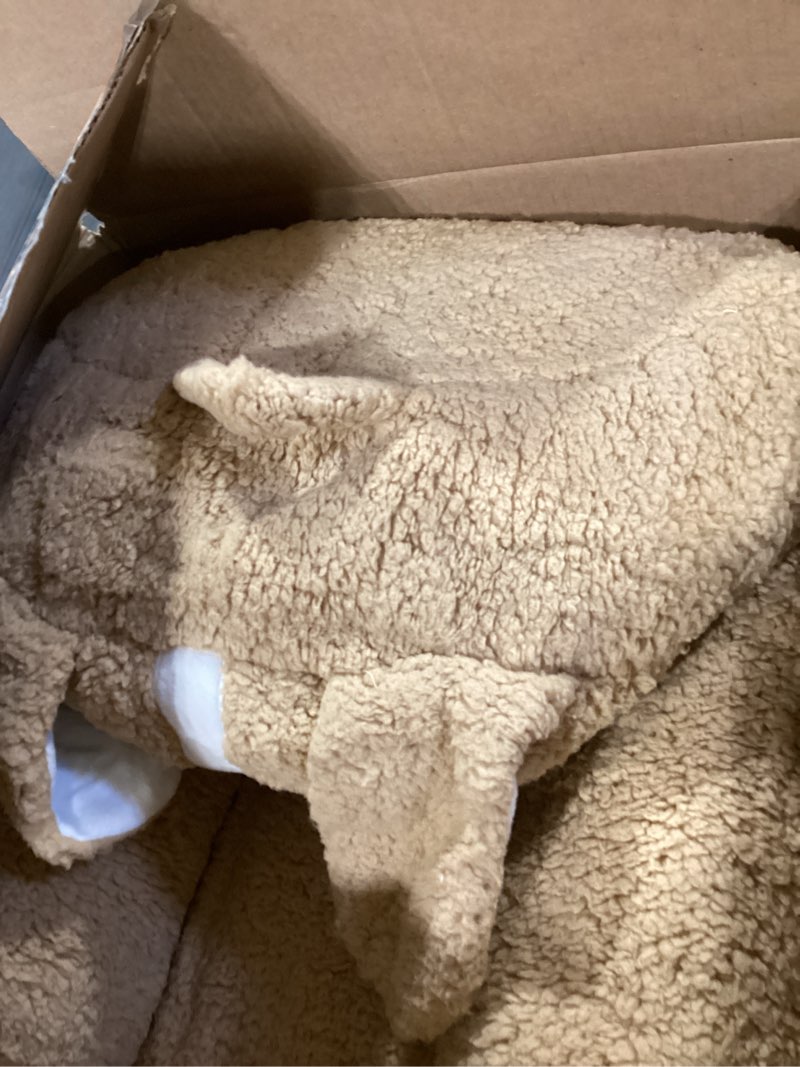 Condition photo showing Good Condition for Delta Children Cozee Buddy Chair, Dog