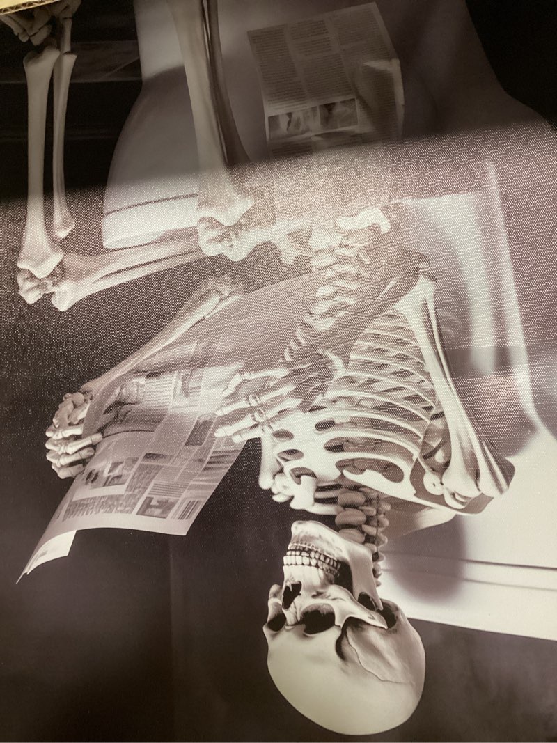 Canvas Wall Art Bathroom Decor Skeleton Sitting on Toilet Reading the Newspaper Picture Funny Skull 