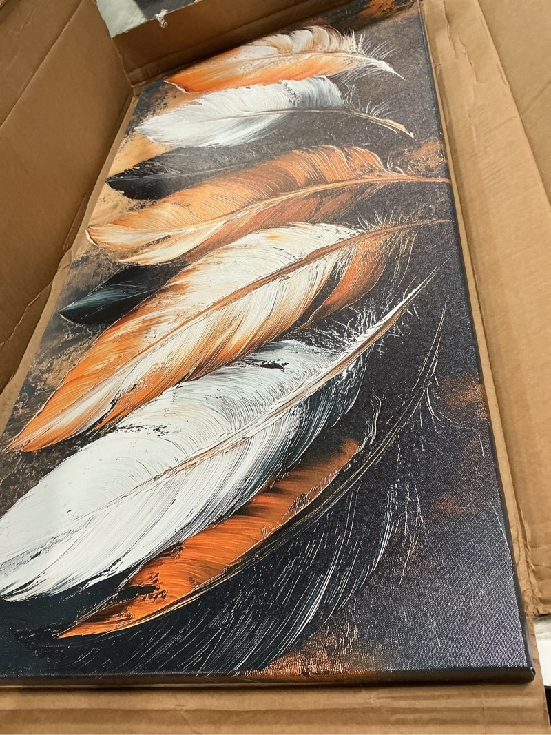 Condition photo showing Good Condition for abstraction pictures canvas wall art for living room office bedroom wall decor,feather wall art print paintings modern autumn white yellow feather artwork waterproof ready to hang-20x40inch 40"l x 20"w abstract golden feather