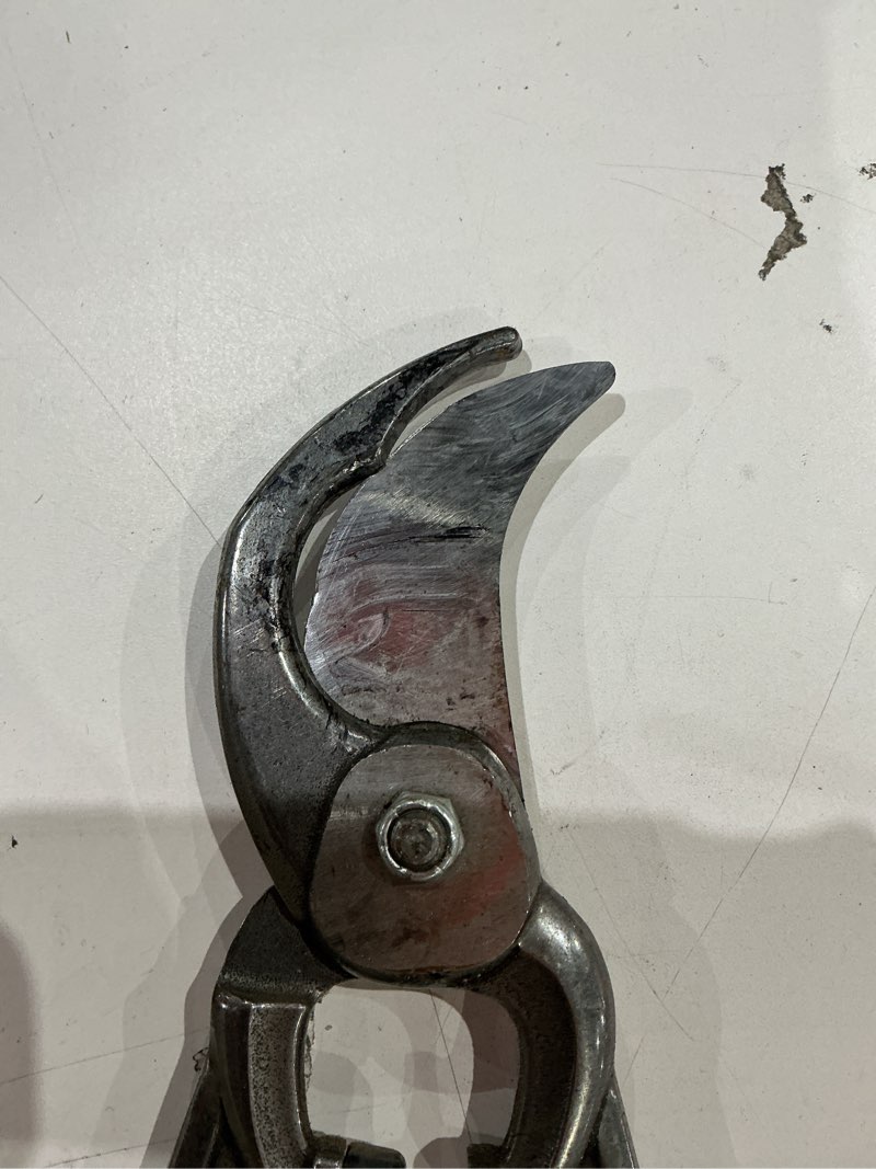 Condition photo showing As Is for corona tools | 32-inch branch cutter dualcut bypass loppers | tree trimmer cuts branches up to 2-inches in diameter | sl 7180