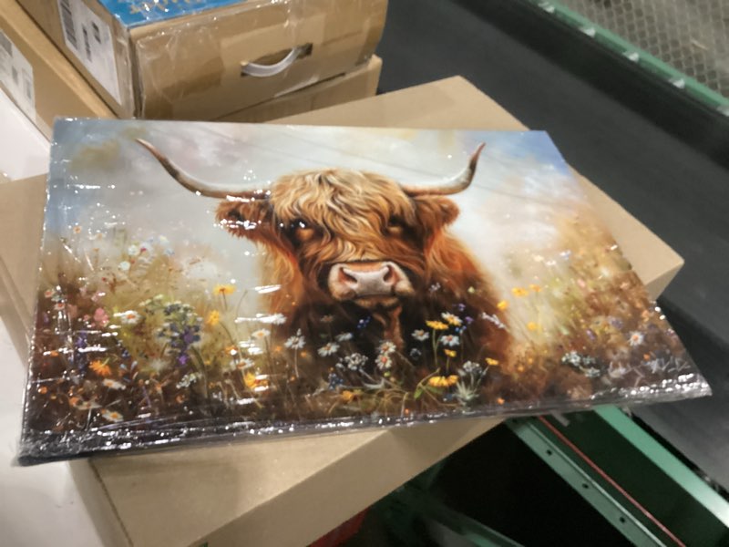 Sendata Framed Highland Cow Canvas Prints Wall Art Farmhouse Theme Highland Cow Pictures Paintings P