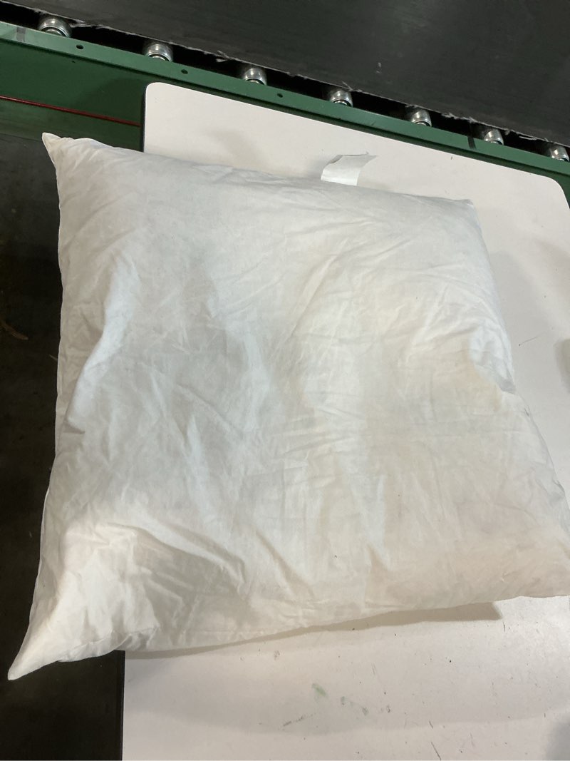 Condition photo showing As Is for quince premium feather pillow insert (set of 2), 22x22, no color