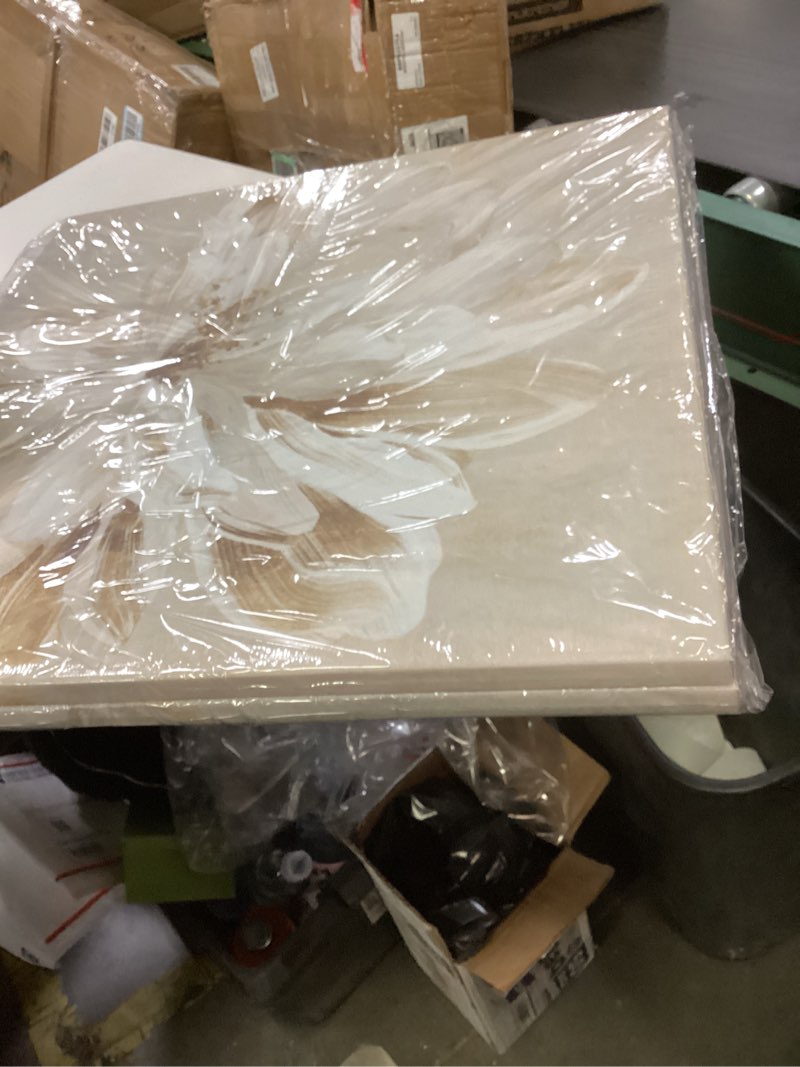 Condition photo showing Good Condition for SEVEN WALL ARTS 2 Pcs Beige and Gold Flower Wall Art Blooming Flower Abstract Floral Artwork Canvas Print Poster for Living Room Bedroom Office Wall Decor 24"x24" Blooming Flowers 24 x 24 Inch x 2 Pcs