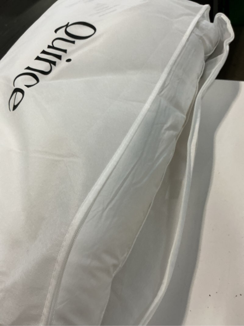 Condition photo showing As Is for luxe goose down pillow, king, medium