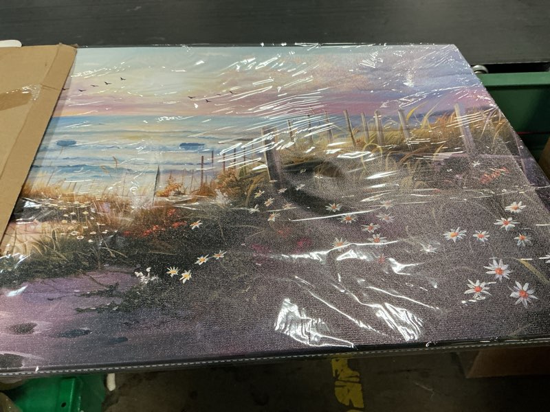 Condition photo showing As Is for hyidecorart canvas wall art for living room wall decorfor bedroom flower beach scenery wall painting blue ocean pictures artwork office decor modern framed posters home decorations 20"x40" 40"l x 20"w flower beach ocean scenery