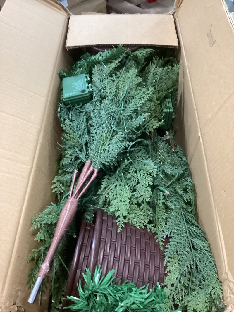 Condition photo showing Good Condition for Set of 3 2ft 3ft 4ft Pre-lit Twinkle Christmas Norfolk Pine Tree with 175 LED Light Realistic Artificial Trees with Woven Basket Base Xmas Holiday Decor for Indoor Living Room Home (Norfolk Pine Tree)