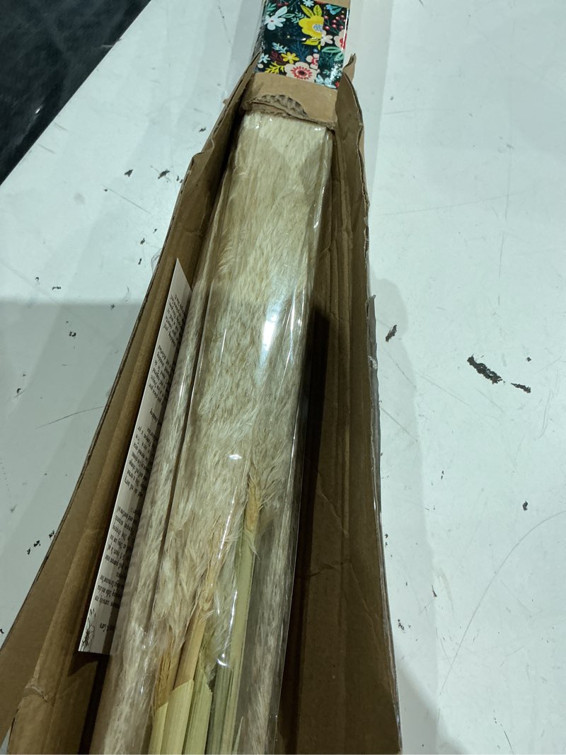 Condition photo showing Good Condition for 46" inch 10 stems natural pampas grass decor tall, pompas grass, tall pampas grass for weddingm, farmhouse, boho home decor (beige)