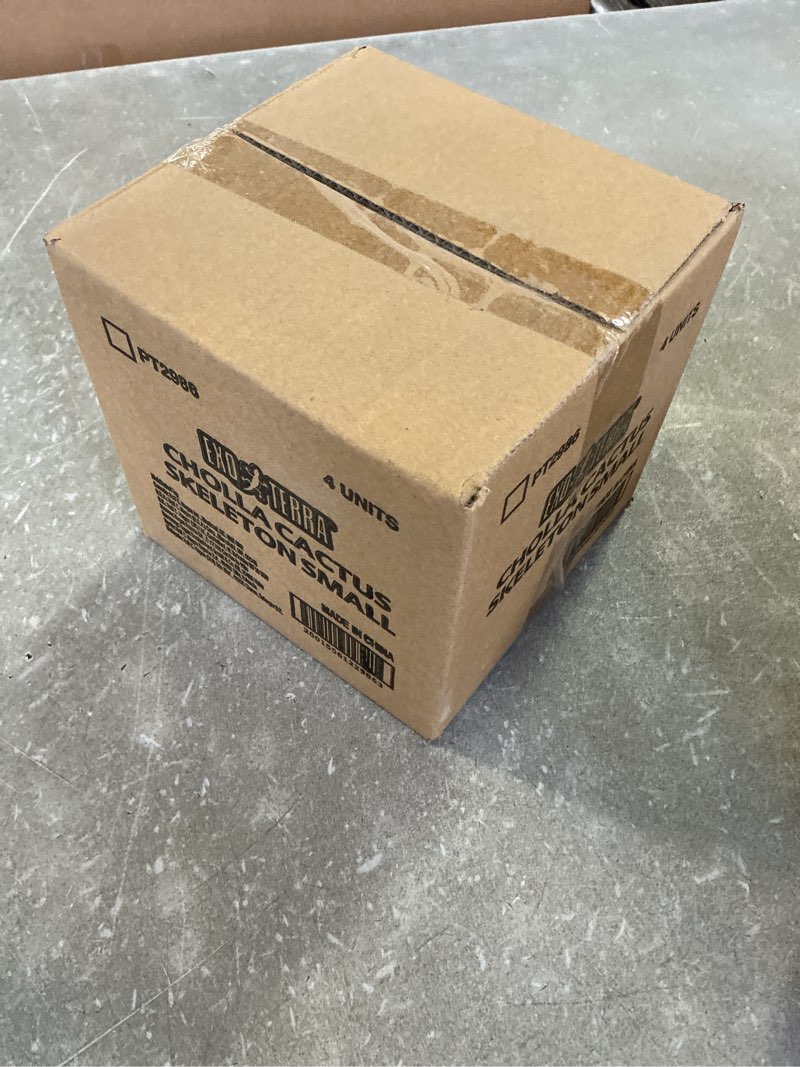 Condition photo showing New/Like New for Exo Terra Cholla Cactus Skeleton (Small)(Pack Of 4)