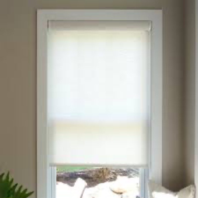 Symple Stuff Light Filtering Roller Shade