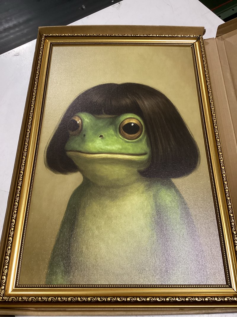 Condition photo showing Good Condition for ayhssmo gold framed wall art funny frog wall decor whimsical canvas art fantastic animal pictures retro paintings for living room bedroom bathroom 16x24in funny frog framed 16"l x 24"w