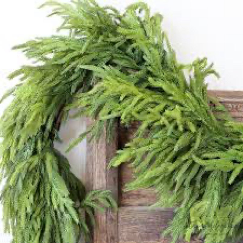Retroramon 10 Ft Extra Full Christmas Garland, Real Touch Norfolk Pine Garland, Artificial Dense Pin