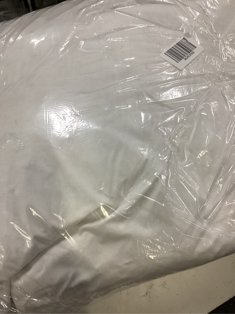Condition photo showing Good Condition for premium feather pillow insert (set of 2), 26x26, no color