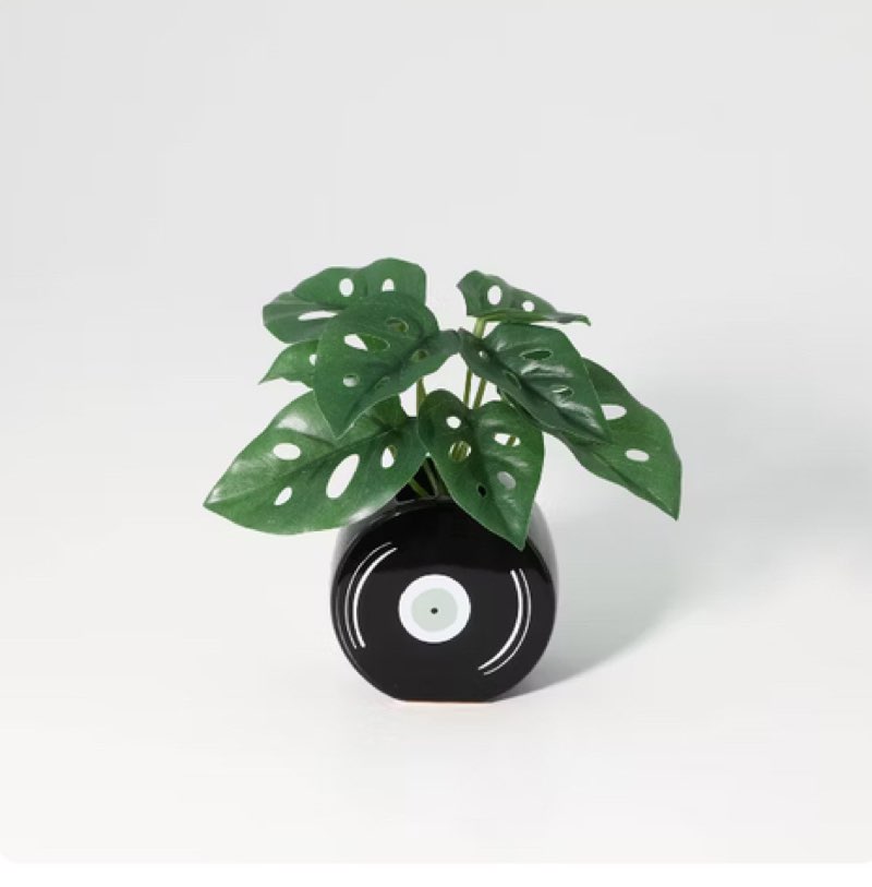 Teen home decorative faux plant target,6 units 