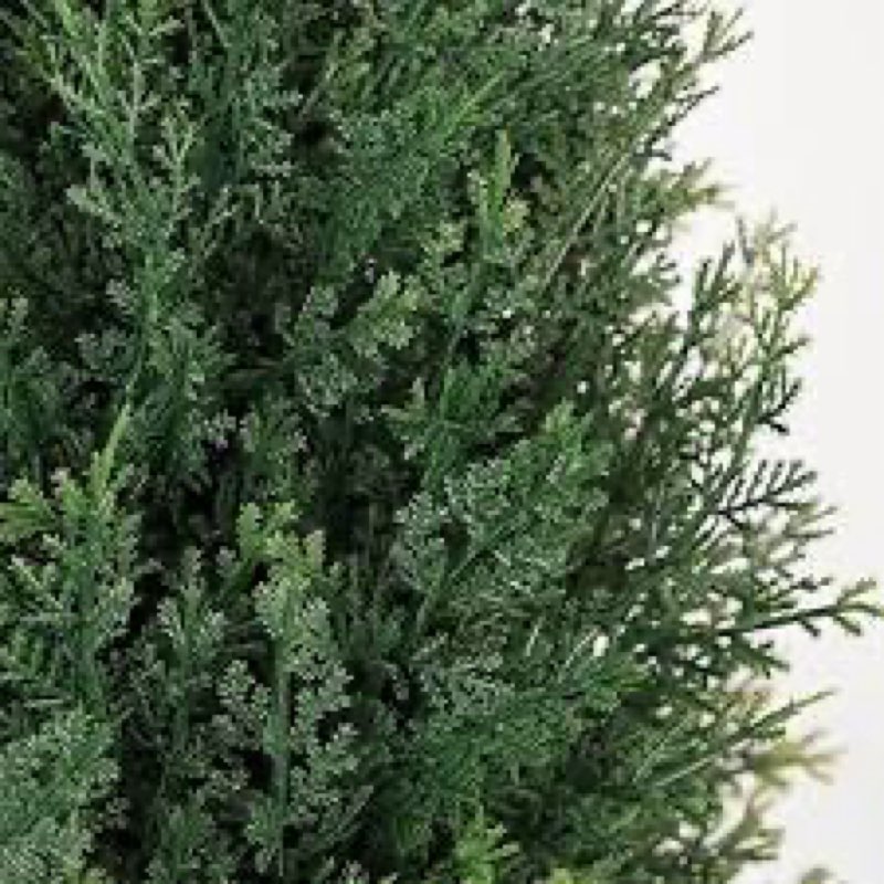 (Size unknown) Artificial Cedar Tree