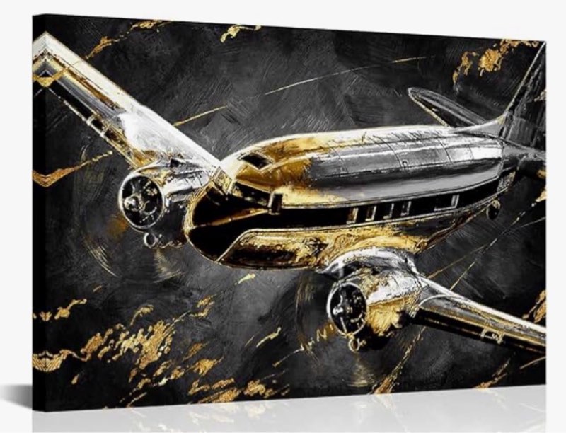 DuoBaorom Airplane Propeller Wall Decor 24 x 36 inches Vintage Air Picture Art