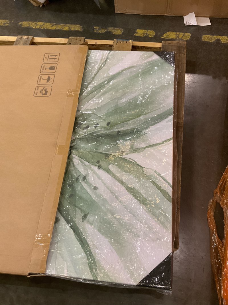 Condition photo showing As Is for Wexford Home Macro Sage Flower II Gallery Wrapped Canvas Wall Art, 40x40,