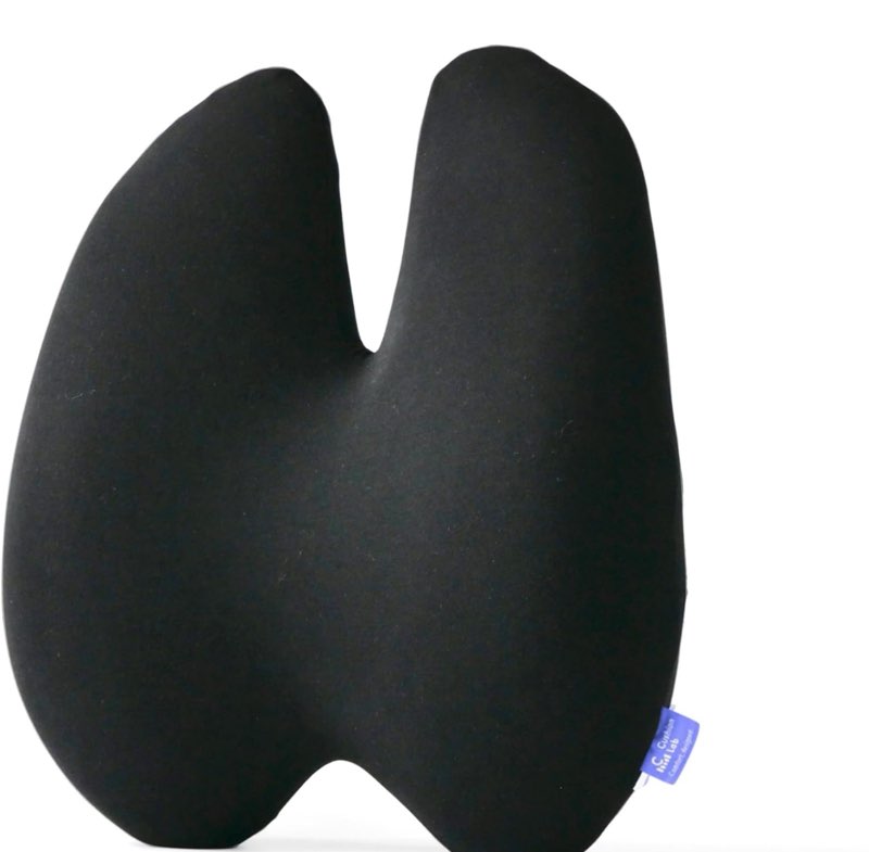 C Cushion Lab Extra-Dense Lumbar Pillow, Black - New Open Box