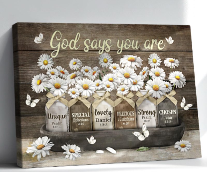Rxenvkuz Rustic Daisy Wall Art Vintage Bathroom Canvas Print Farmhouse Bathroom Decor Flower Butterf