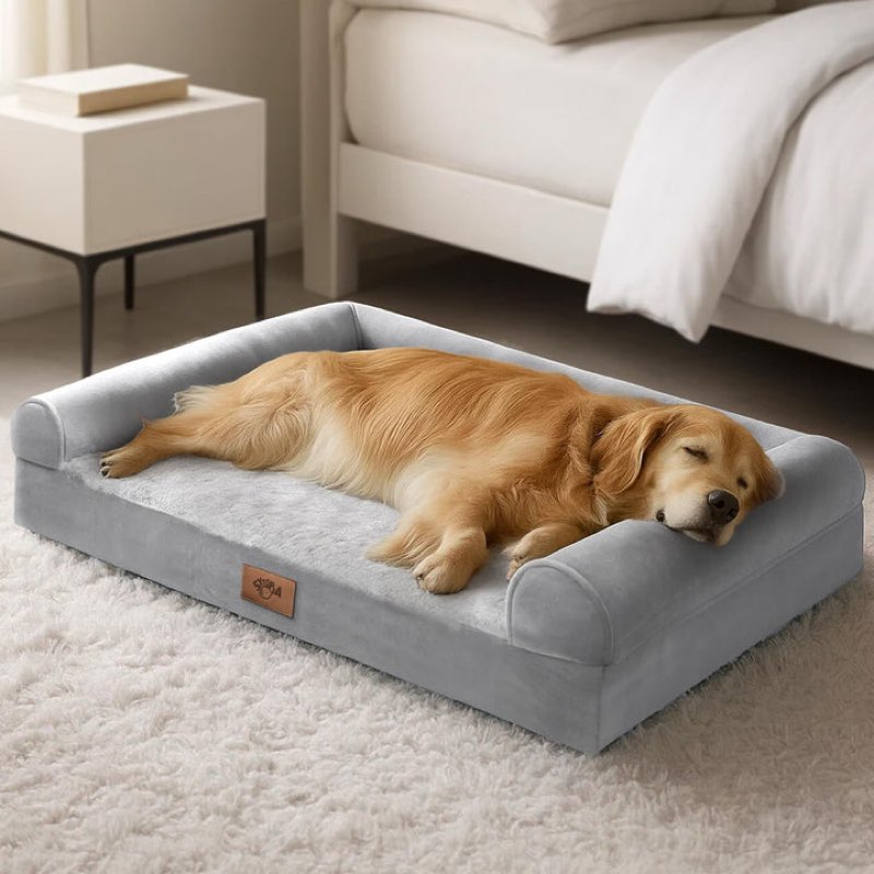 dog bed