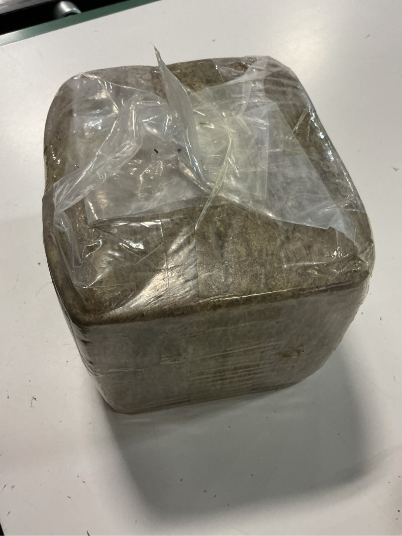 Condition photo showing New/Like New for riare 4.4lbs premium sphagnum moss for plants- 80qt natural dried plant moss for potted plants, orchid moss for repotting, soft green decorative moss for succulents, reptiles & diy crafts 80 qt(appx.4.4lbs)
