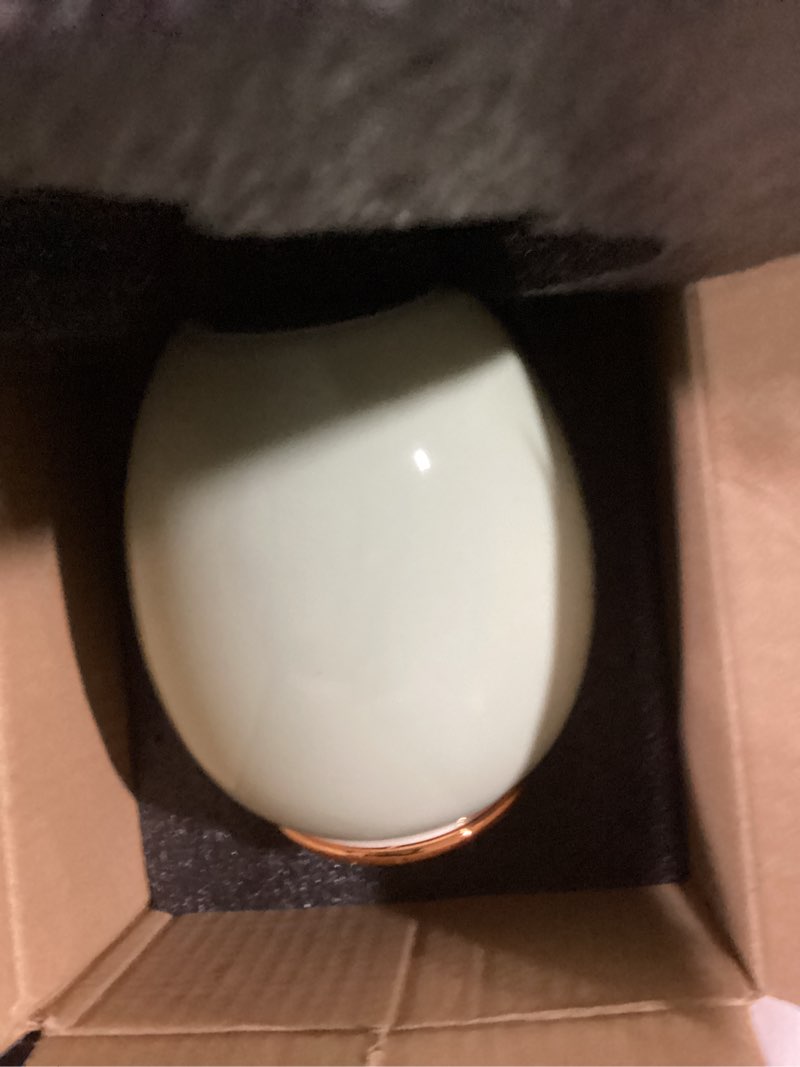 Condition photo showing Good Condition for medium pet urns for dogs ashes, ceramics pet urn for dog cat ashes (paw prints) green