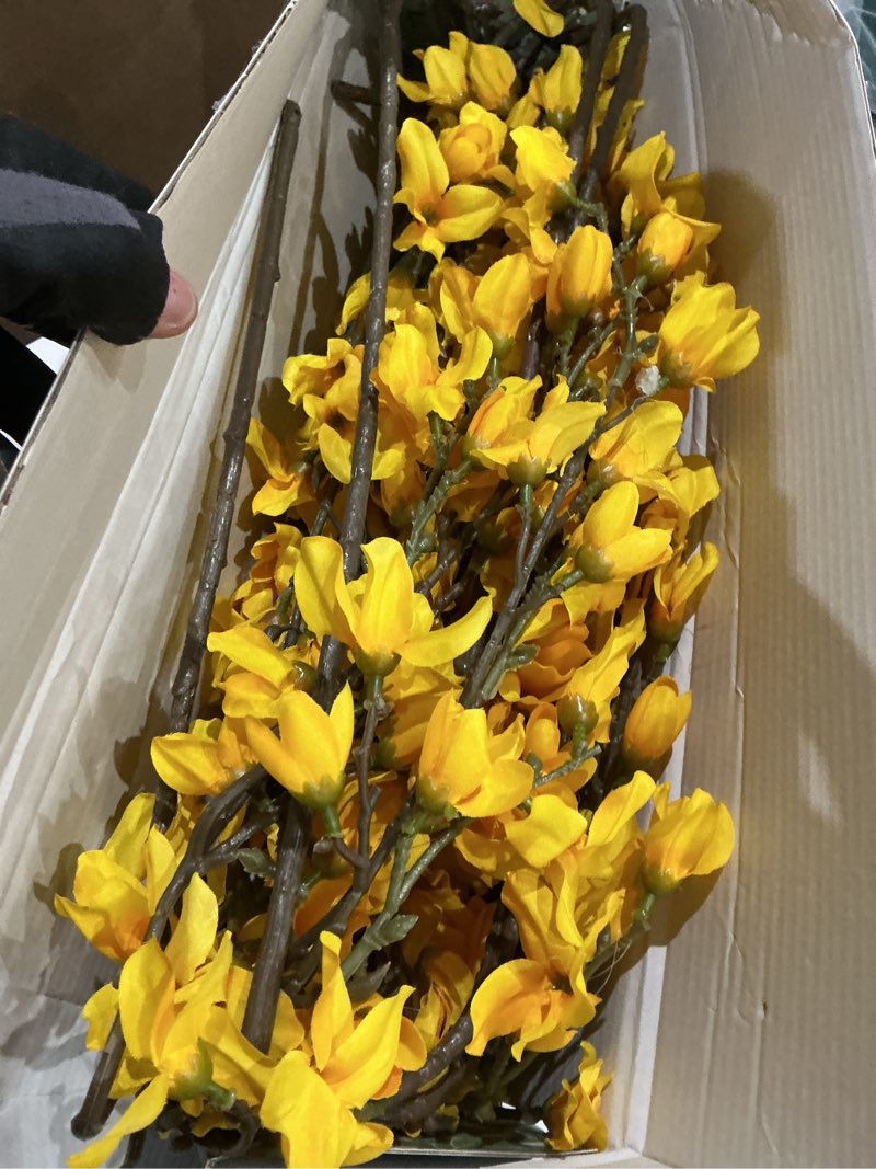 Condition photo showing Good Condition for wild works artificial forsythia branches valentines day decoration, 38 inch silk flowers for wedding home decor, real touch yellow spring floral arrangement for centerpiece, photography props (yellow)