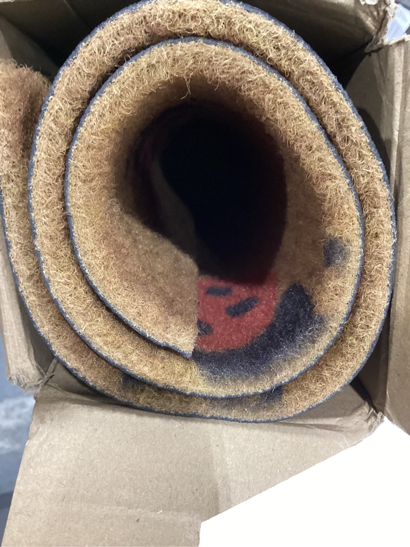 Condition photo showing Good Condition for ceenna summer ladybug welcome doormat ladybug coir doormat with non slip backing summer mat front porch rugs for home entrance anniversary, 16 x 24 inches