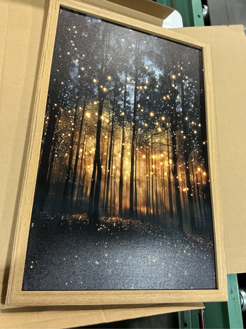 Condition photo showing Good Condition for zphvaqd magical forest wall art enchanted fireflies print vintage halloween posters dark academia painting moody botanical canvas spooky pictures decor 16 x 24 in wrapped frame magic-wframed 16.1l" x 24.1w"