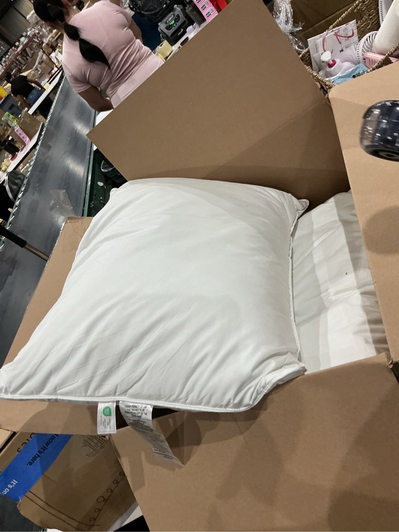 Condition photo showing As Is for upgraded soft goose feather down pillows queen size set of 2, luxury feather pillows for sleeping, smooth down-proof fabric, hotel collection bed pillows (white, 20x30 inches) queen - 2 pack white