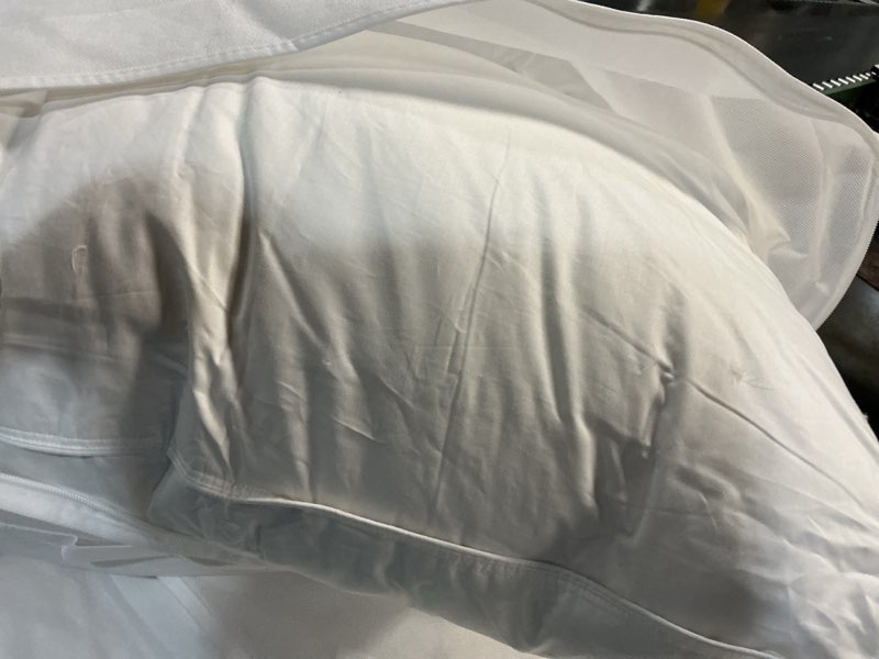 Condition photo showing New/Like New for luxe goose down pillow, king, soft