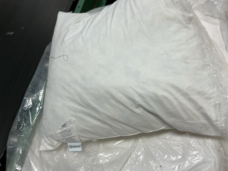 Condition photo showing As Is for (one piece)  premium feather pillow insert (set of 2), 20x20, no color