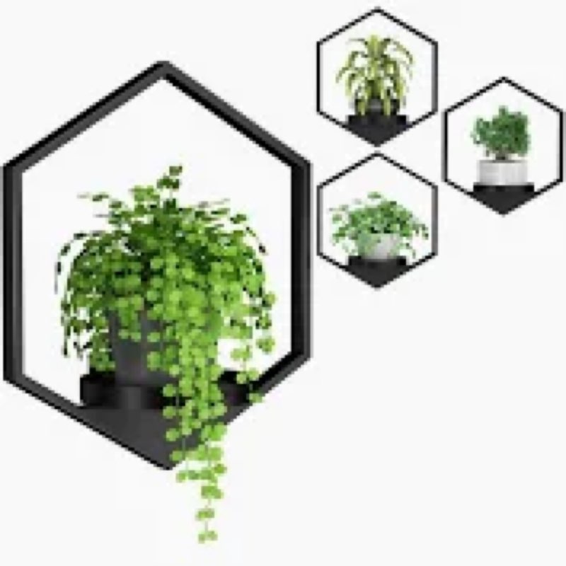 DEMEGA Wall Planters for Indoor Plants, Plant Frames Wall Decor Living Room Plant Stand Hanging Wall, set of 3