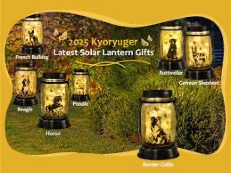 kyoryuger Halloween Decorations Halloween Decor Witch Solar Lanterns Witch Decorations Outdoor Light