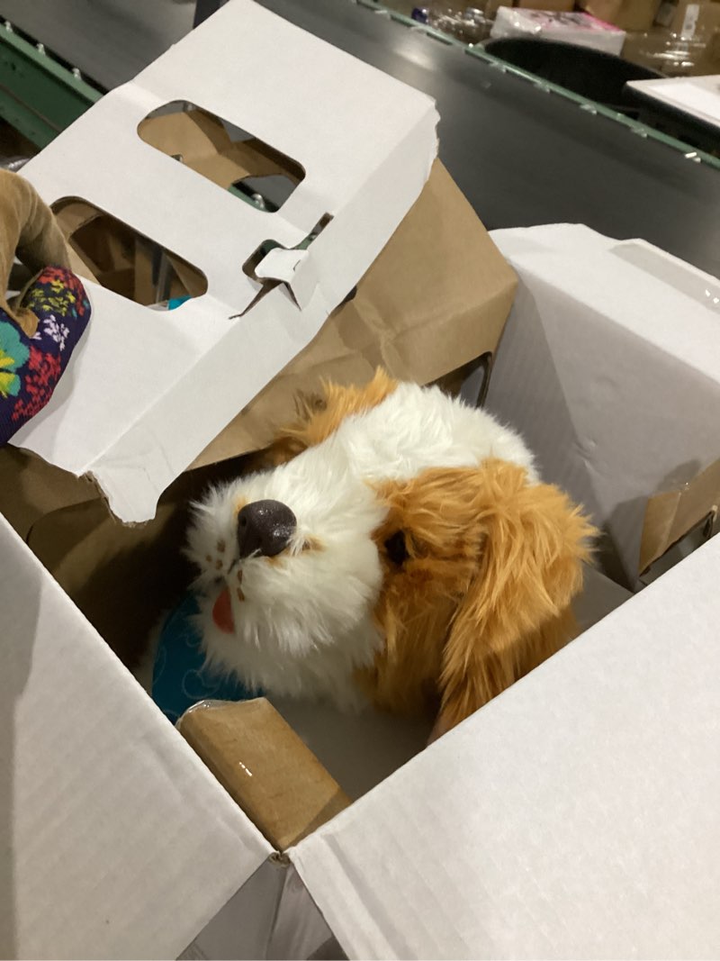 Condition photo showing Good Condition for Joy for All - Freckled Pup - Brown and White Soft-Touch Coat - Realistic and Lifelike Interactive Companion Pets