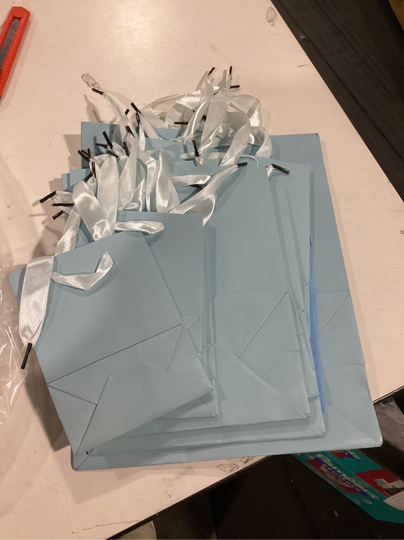 Condition photo showing Good Condition for qiqee Lake Blue Gift Bags with Tissue Paper Mulit Assorted Sizes 10PCS Present Party Favor Birthday Bags(2pcs Large 13", 4pcs Medium 9", 4pcs Small 6" Bags?22pcs Tissue Paper)