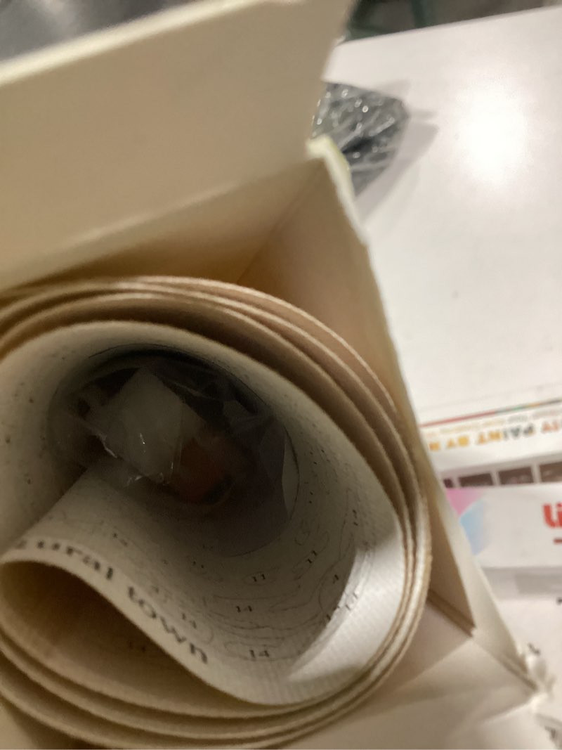 Condition photo showing Good Condition for Linkmonde Kids' Painting by Numbers DIY Acrylic Painting Kit for Kids & Adults Beginner – 16” x 20” Village Cabin Art