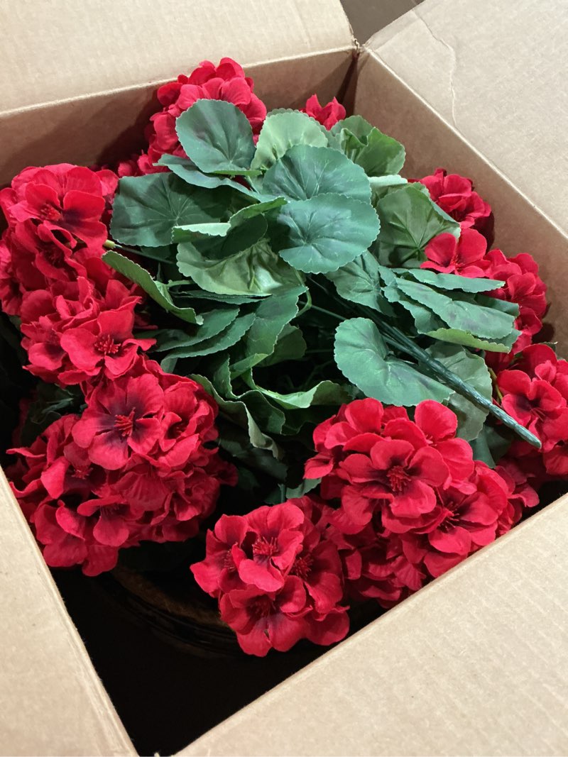 Condition photo showing Good Condition for hananona 2 set artificial red geraniums flowers for outdoors with hanging baskets, 2 hanging planters with 12 pcs red geranium flowers for christmas front porch garden patio home decor (2, red) red 2