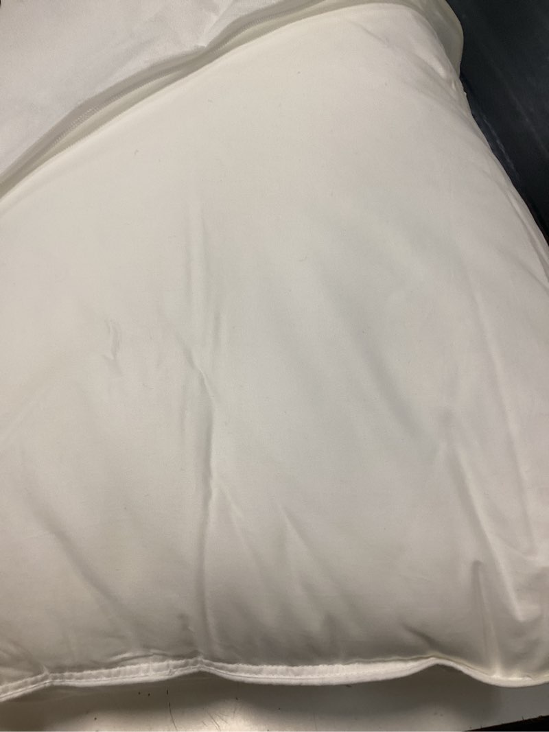 Condition photo showing Good Condition for premium down alternative pillow, standard, medium/firm