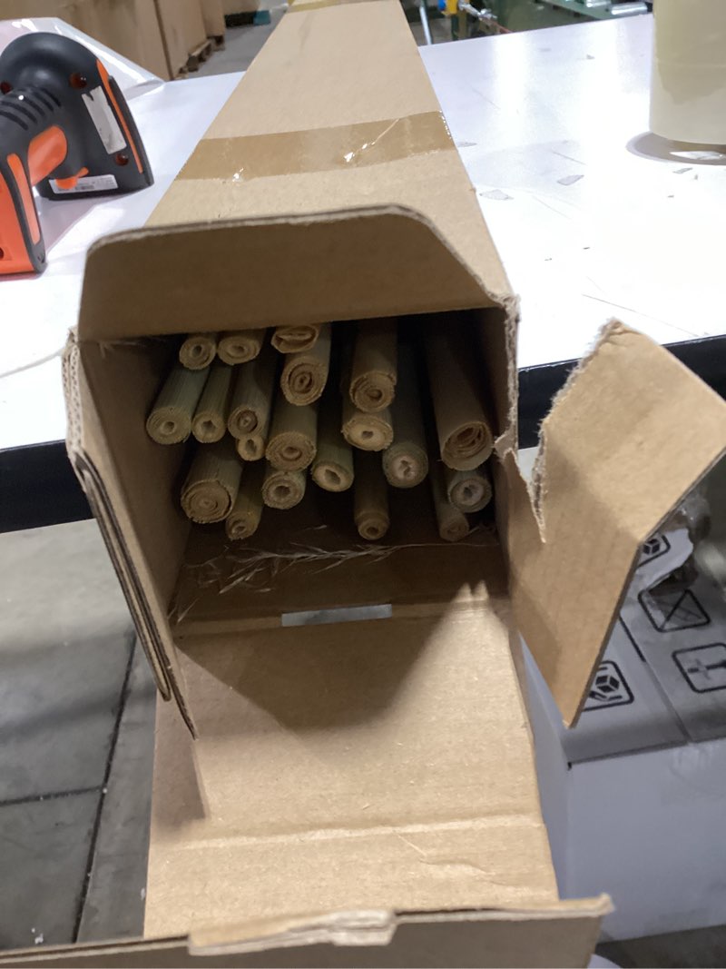 auleegay 20 PCS 40 inches Bohemian Style Handpicked Pampas Grass Dried Flowers, Big Pampas Grass, Fl