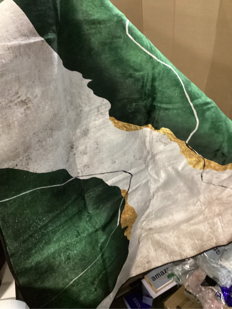 Condition photo showing Good Condition for green abstract area rug