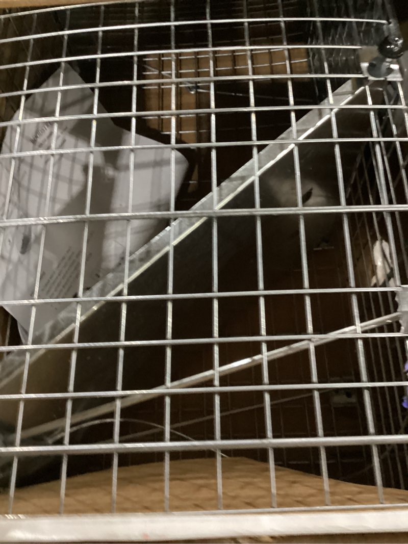 Condition photo showing Good Condition for havahart 1085 large 1-door easy set humane live animal trap for armadillos, cats, groundhogs, muskrats, opossums, raccoons, skunks - havahart live animal cage trap